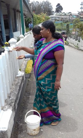 ශ්‍රමදානය
